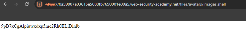 shell execution result