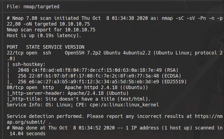 nmap scan