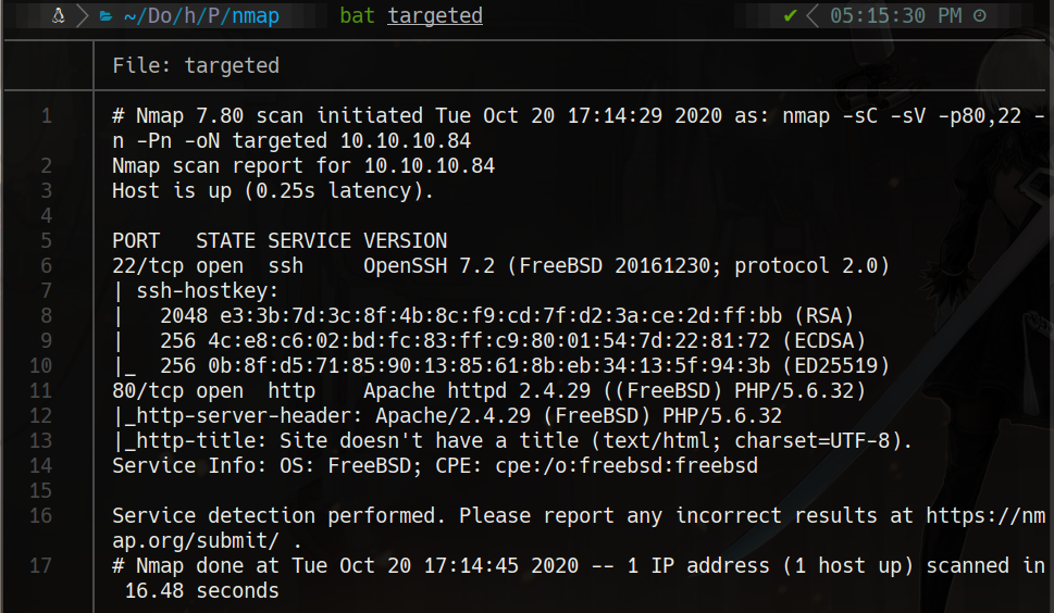 nmap scan