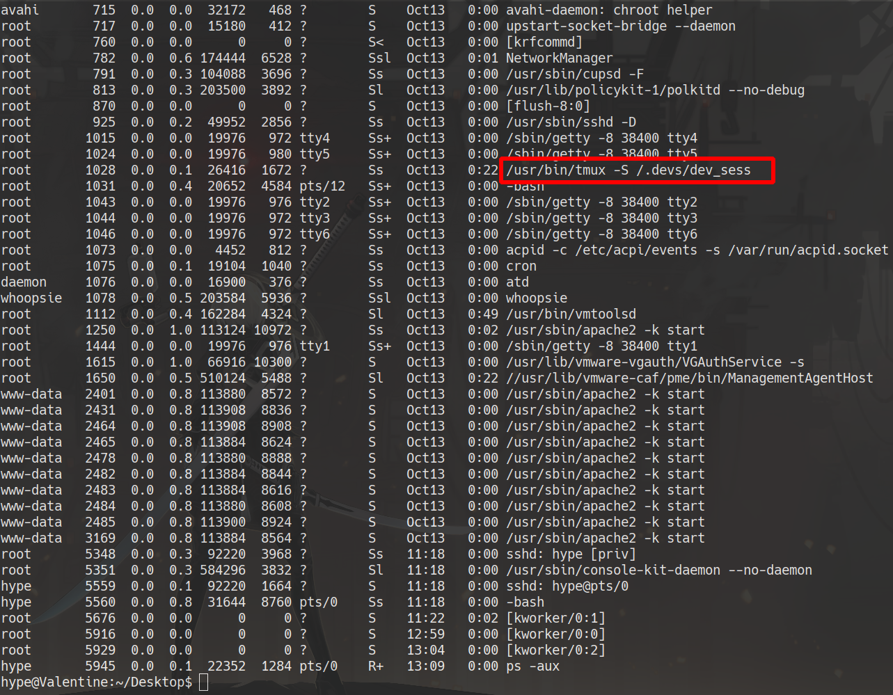 ps aux tmux