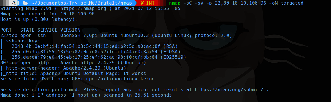 nmap scan