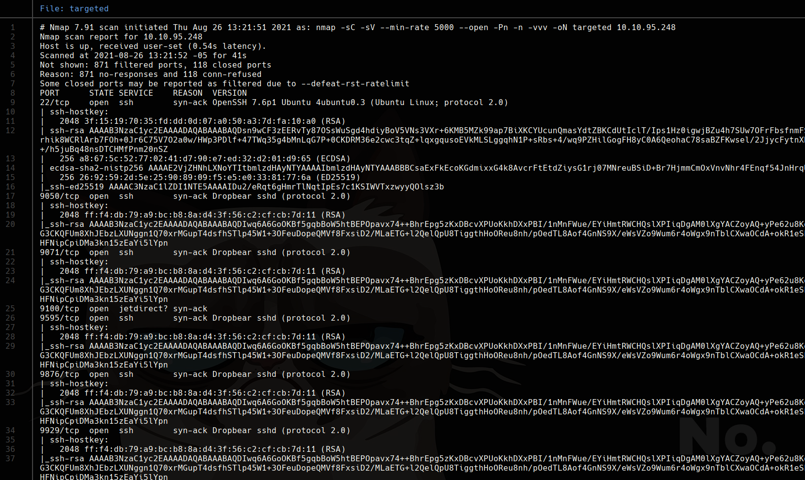 nmap scan