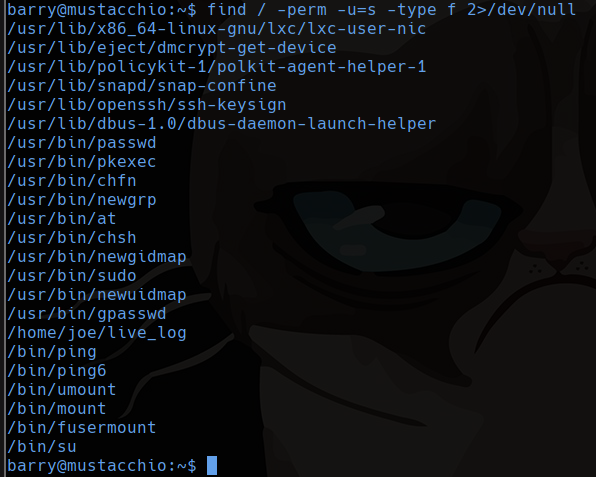 suid files