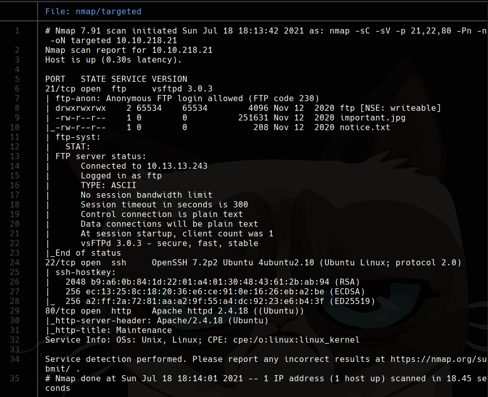nmap scan
