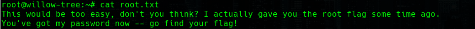 root.txt hint